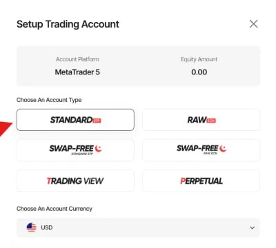 The Vantage account setup panel showing the account type options, with Standard marked.